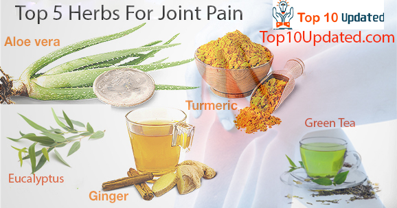 Top Five Best Joint Pain Herbs Healthy Tips – Top 10 Updated